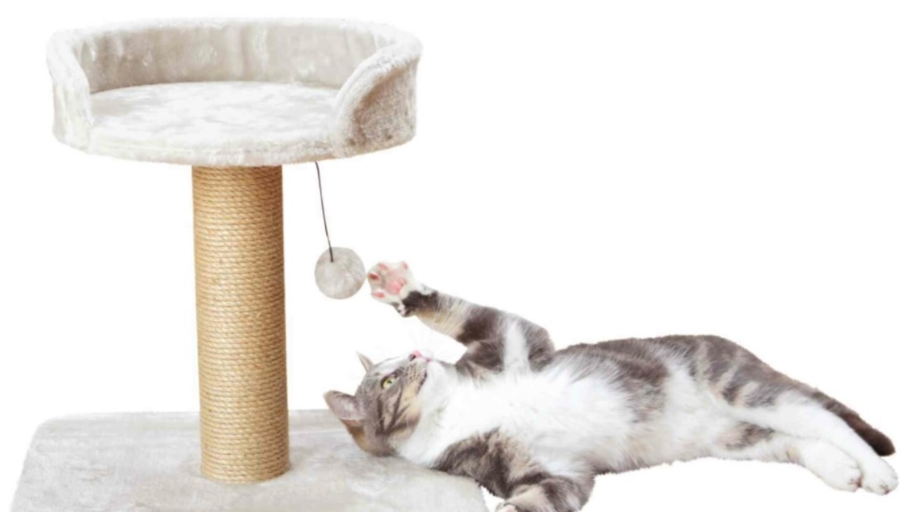 TRIXIE Škrábadlo MICA 46 cm světle šedé