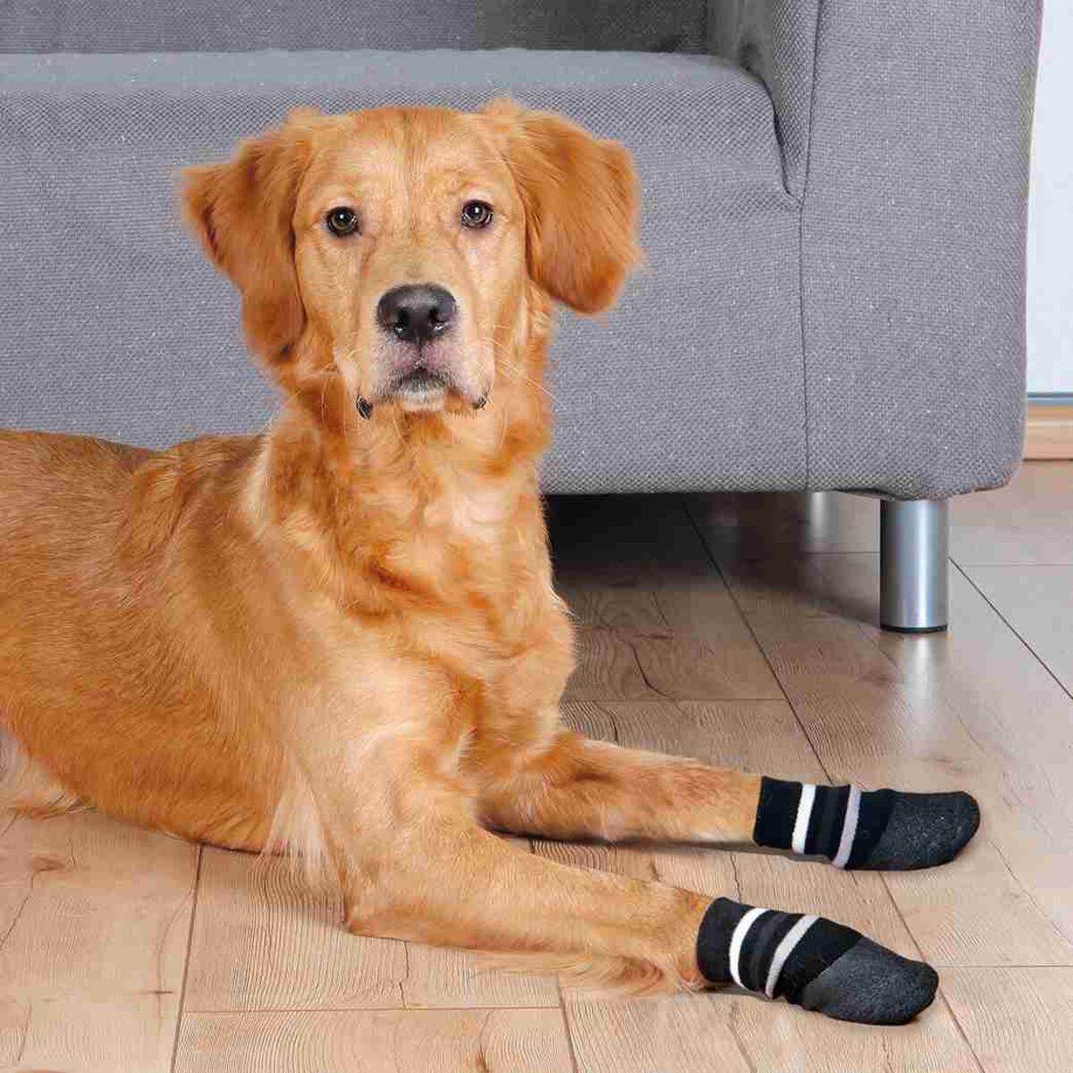 TRIXIE Protiskluzové ponožky černé, 2 ks pro psy bavlna/lycra S-M: např. sheltie