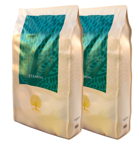 ESSENTIAL FOODS Stamina 2 x 10kg