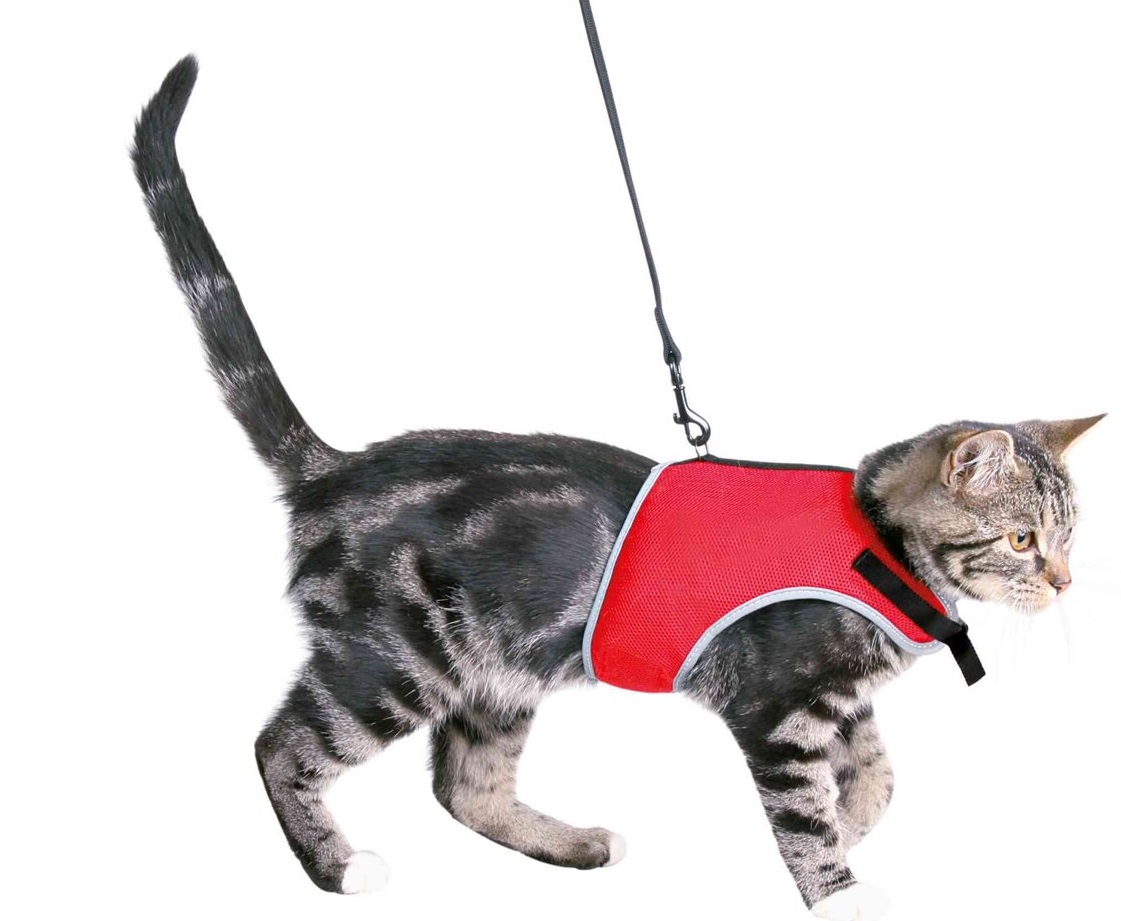 TRIXIE XCat postroj vestička pro kočky 24-42cm/1,20m