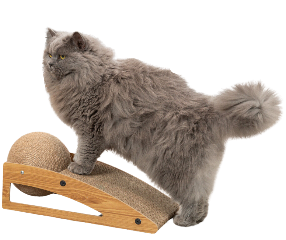 TRIXIE Škrabací rampa s míčem, 40 × 17 × 20 cm, dřevo/karton/sisal