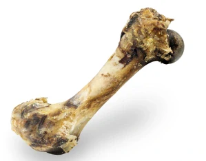 Šunková kost přírodní sušená 20 cm / 280 g