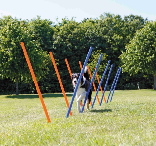 TRIXIE AGILITY Slalom, tyče 12ks
