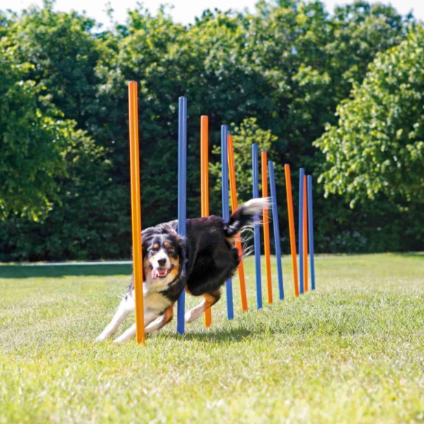 TRIXIE AGILITY Slalom, tyče 12ks