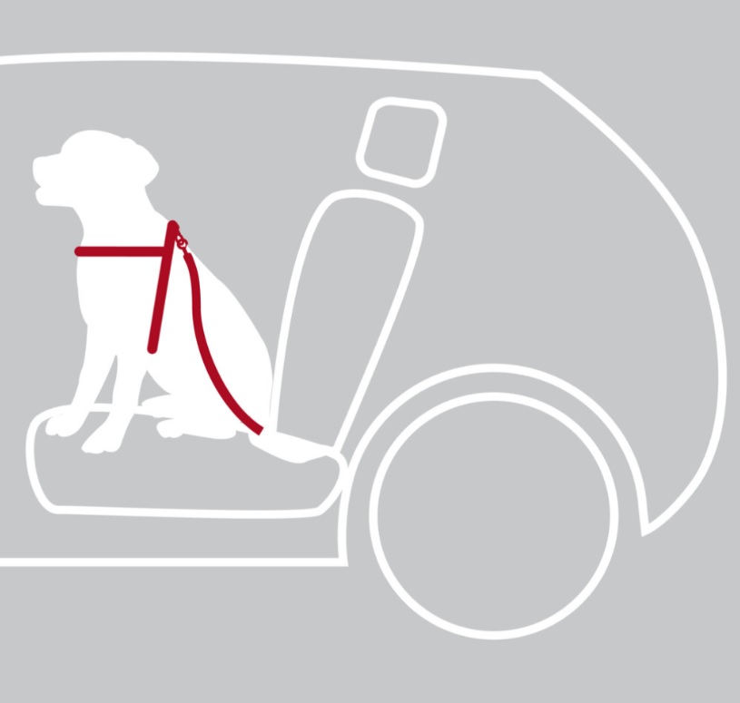 TRIXIE Postroj do auta pro psa XS: 20-50 cm/15 mm, např. jorkšírský teriér