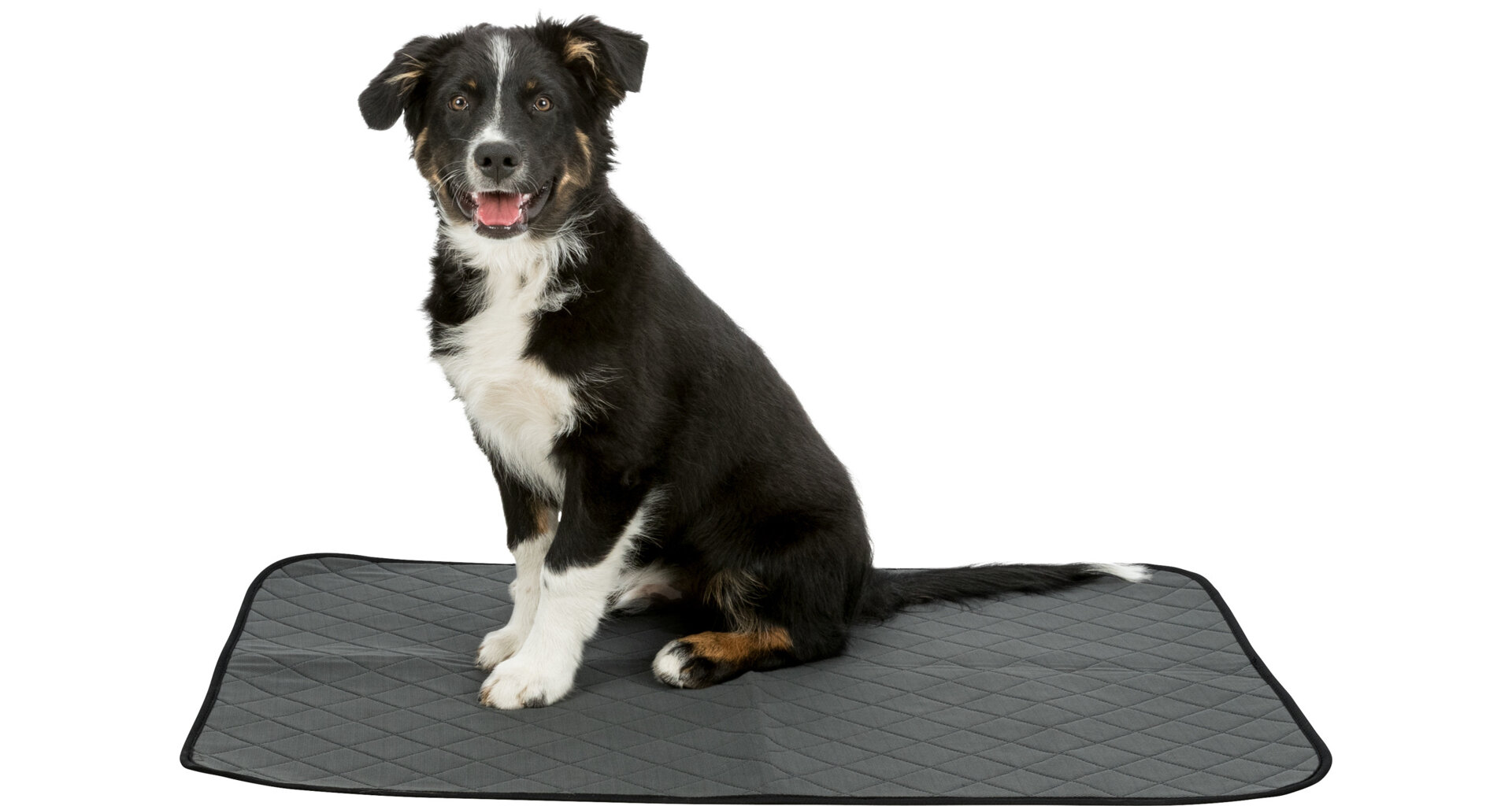 TRIXIE Podložka pro štěňata, omyvatelná, šedá 40 x 60 cm