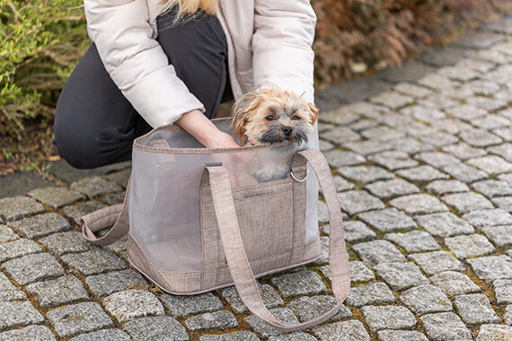 TRIXIE Transportní síťovaná taška MARY, 53 x 30 x 20 cm, nosnost 6 kg, písková