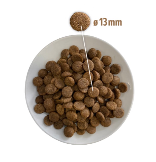 PRINCE HYPOALLERGENIC WITH DUCK 12KG