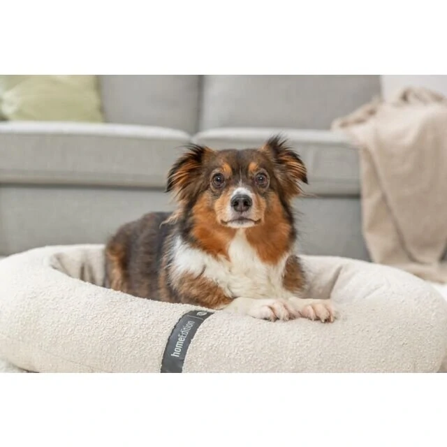 TRIXIE CityStyle Vital Bed HOME Edition, ortopedické oválné lůžko s okrajem, krémová 115 x 90 cm