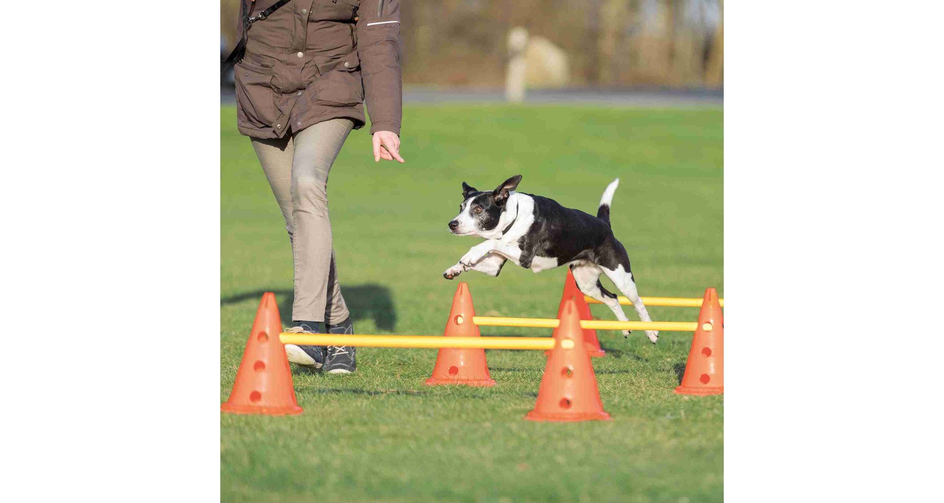 TRIXIE Dog Activity překážky (3 ks) 23 x 30 cm/78 cm oranž/žlutá