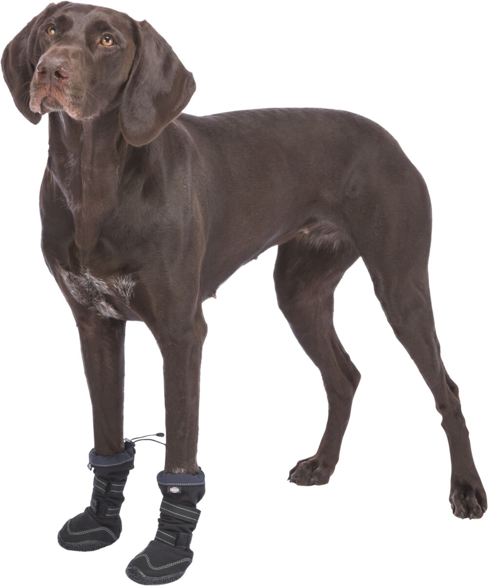 Walker Active Long, ochranné boty pro psy, 2ks, černá L-XL: ø 7-7,5 cm, např. zlatý retrívr