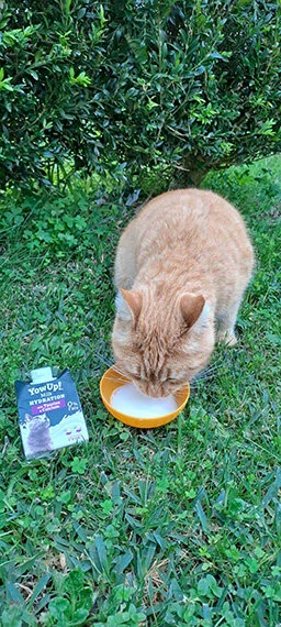 YOWUP Milk Hydratation Cats - mléko pro kočky 200 ml