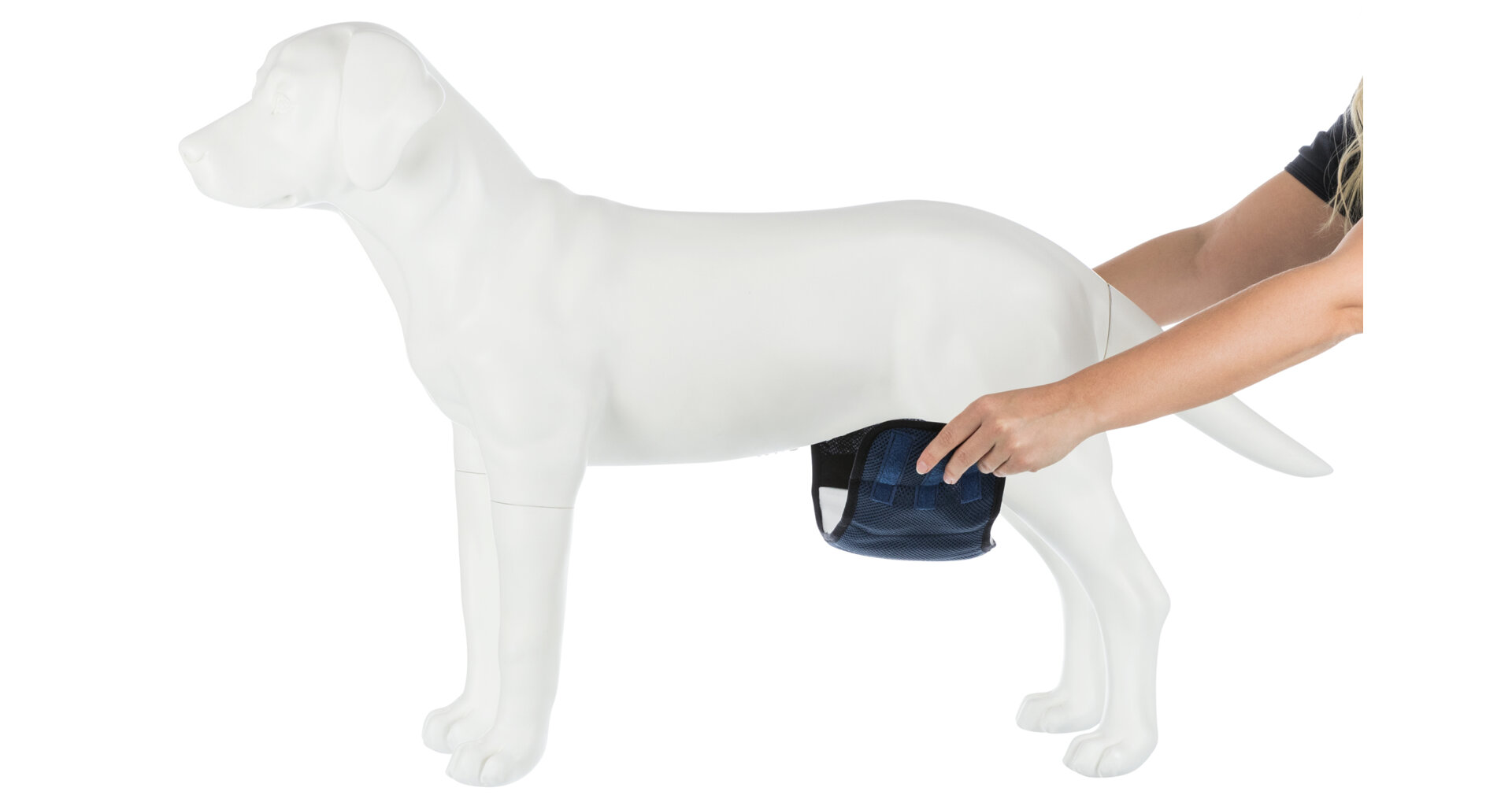 TRIXIE Břišní pás na podložky pro psa samce, tmavě modrý XL: pas: 65-75 cm