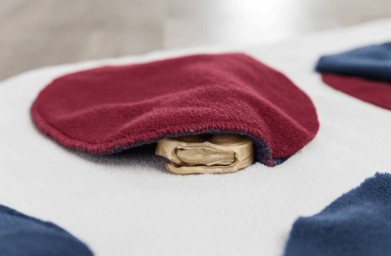 TRIXIE Dog Activity čichací  deka, 70 x 70 cm - DOPRODEJ