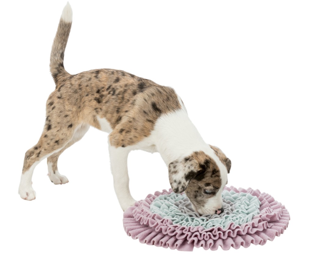 TRIXIE JUNIOR Dog Activity čichací koberec 38 cm