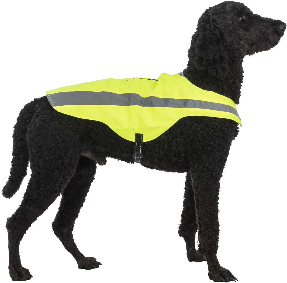 TRIXIE Bezpečnostní vesta, reflexní, neon žlutá XS-30cm,hruď:38-54cm