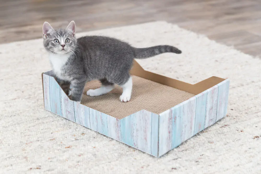 Škrabací pelech s catnipem, 45 x 12 x 33 cm, karton