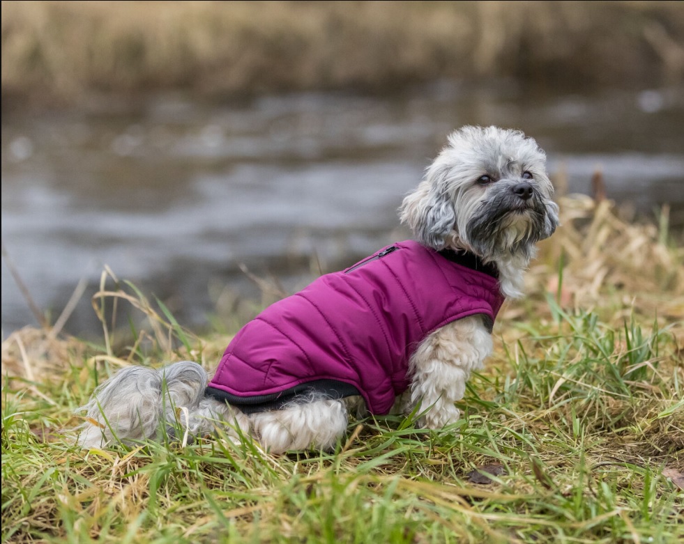 TRIXIE Prošívaná vesta ARLAY, malinová XS:30cm, hruď:42cm, krk:34-38cm