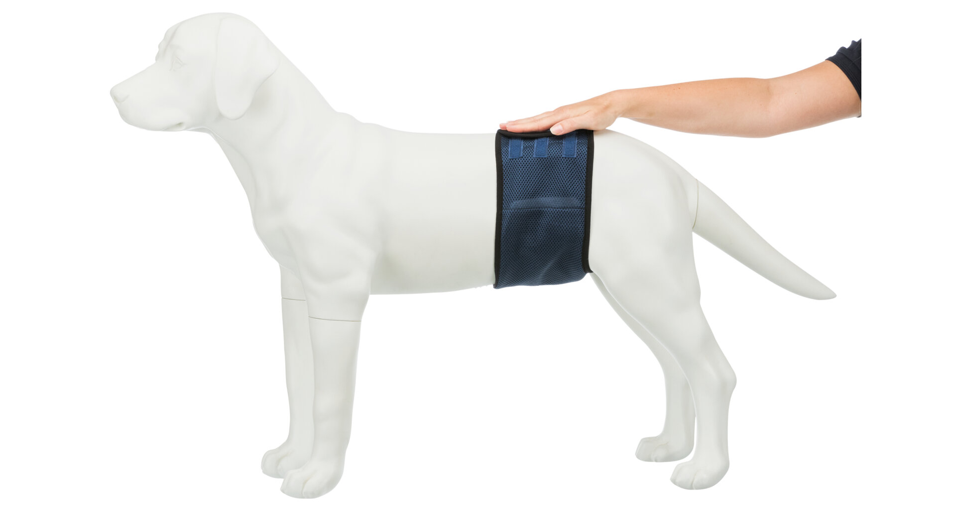 TRIXIE Břišní pás na podložky pro psa samce, tmavě modrý S-M: pas: 37-45 cm