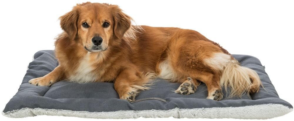 TRIXIE Podložka Farello, plyš/tkaná látka, bílošedá/šedá 60 x 50cm