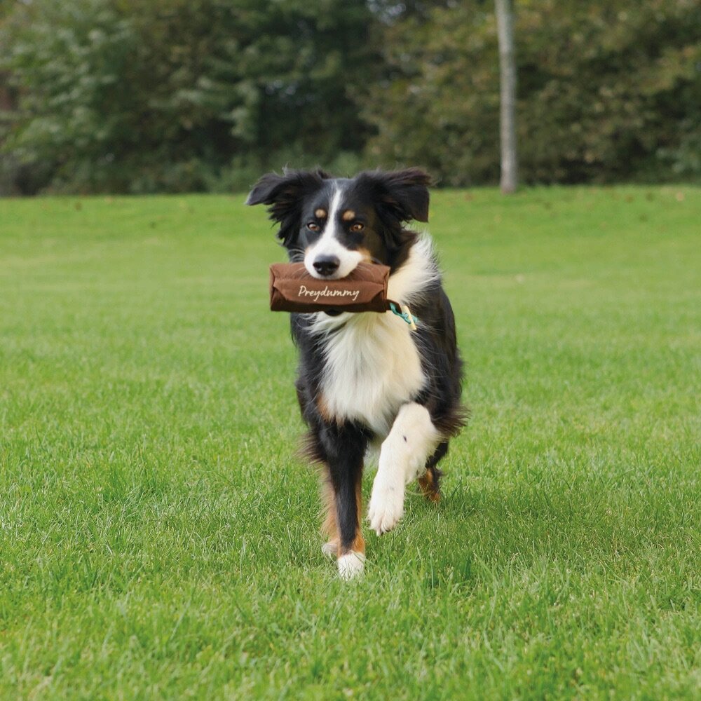 TRIXIE Preydummy, ø 8 × 20 cm, hnědá