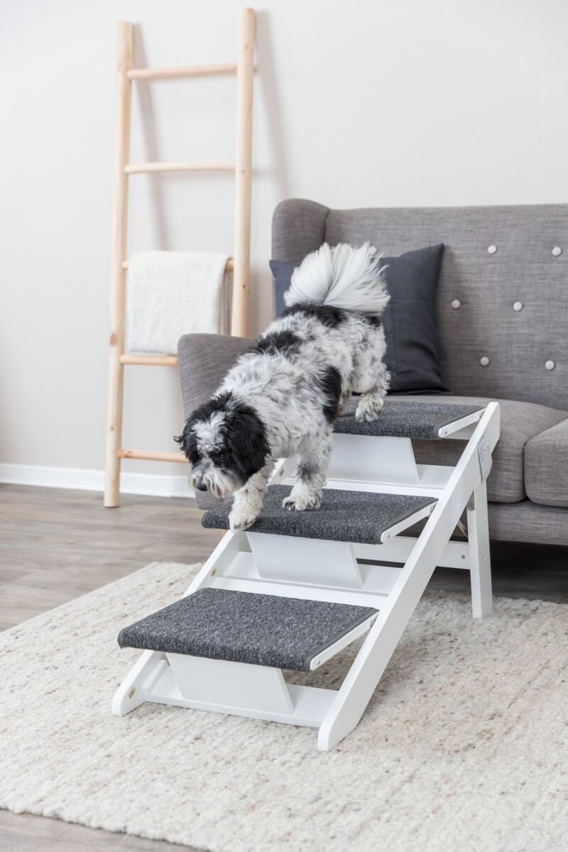 TRIXIE Rampa / schůdky, skládací 44 x 46 x 106 cm, dřevo, bílá