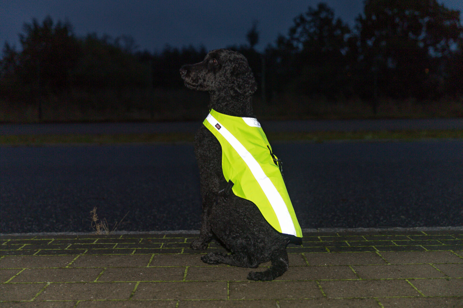 TRIXIE Bezpečnostní vesta, reflexní, neon žlutá M-50cm,hruď:56-84cm