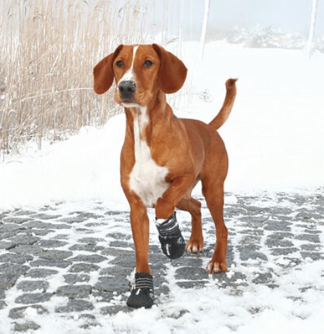 TRIXIE Ochranné boty WALKER ACTIVE, 2 ks XL: např. rhodéský ridgeback