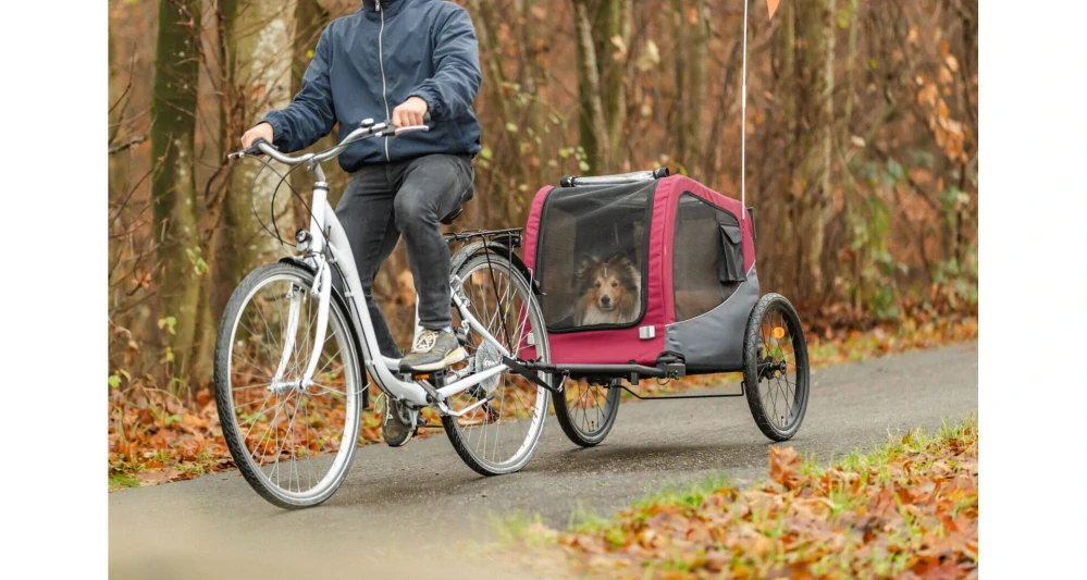 TRIXIE Vozík za kolo, S: 56 × 64 × 61/125 cm, do 15 kg, šedá/červená