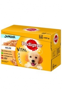 Pedigree kapsa Junior masový výběr,rýže v želé 12x100g